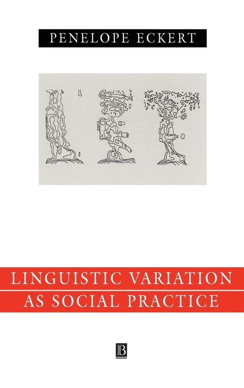 Language Variation as Social Practice: The Linguistic Construction of Identity in Belten High: 27 (Language in Society)