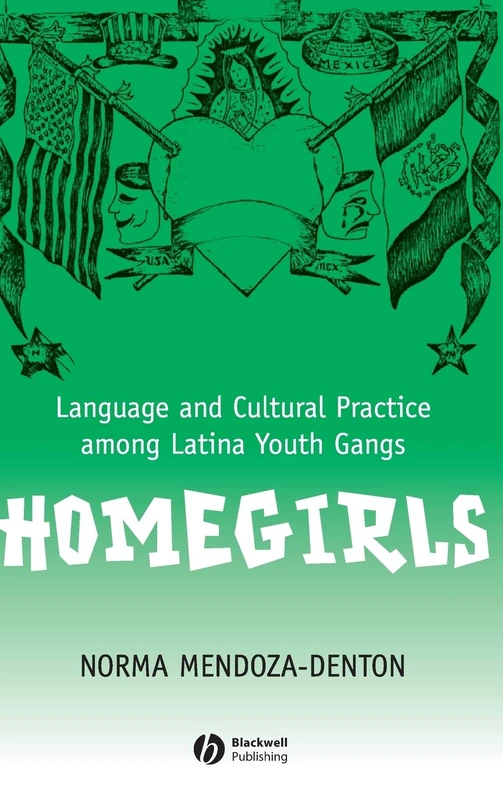 Homegirls: Language and Cultural Practice Among Latina Youth Gangs (New Directions in Ethnography) - Image 1