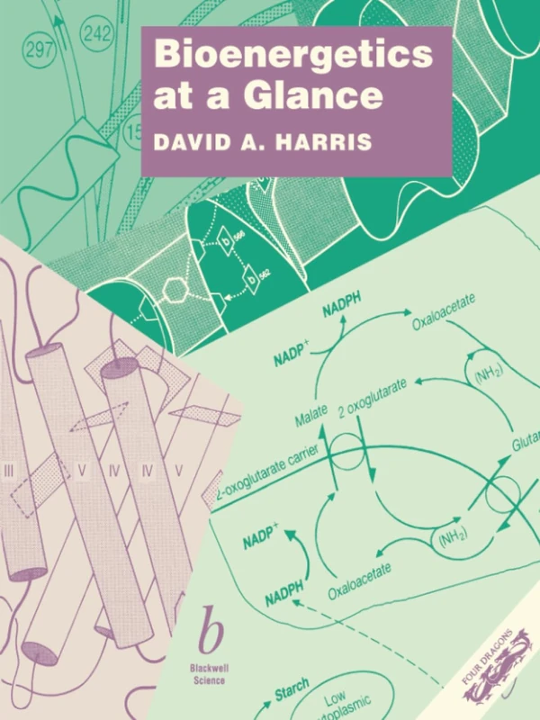 Bioenergetics at a Glance: An Illustrated Introduction