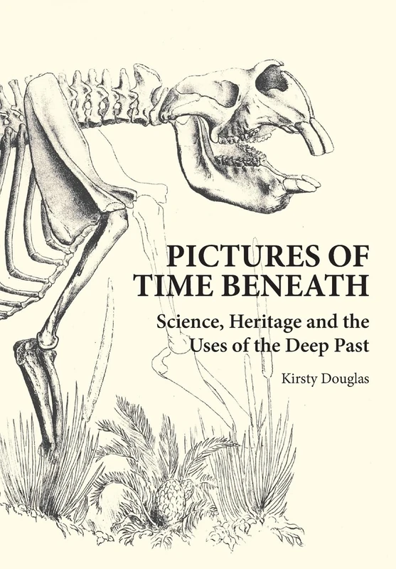 Pictures of Time Beneath: Science, Heritage and the Uses of the Deep Past