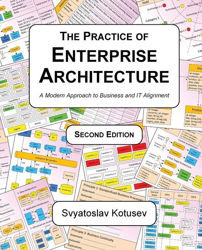 The Practice of Enterprise Architecture: A Modern Approach to Business and IT Alignment (Enterprise Architecture Research)