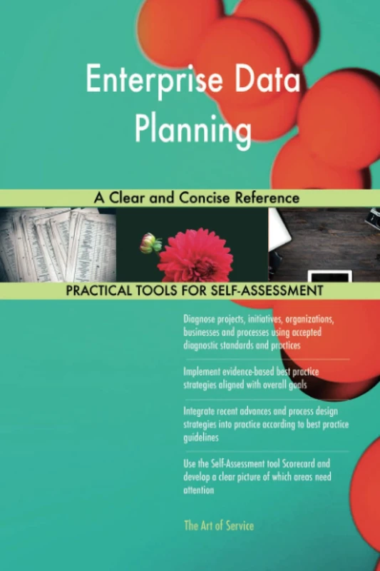 Enterprise Data Planning A Clear and Concise Reference