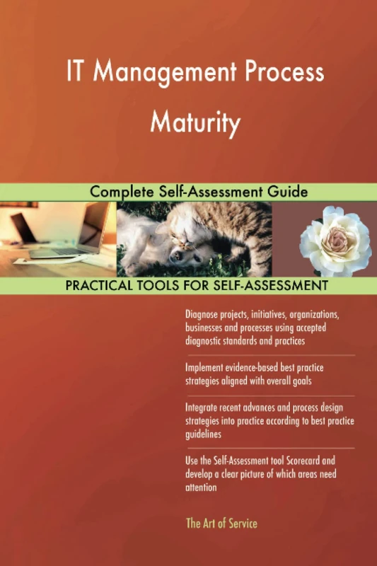 IT Management Process Maturity Complete Self-Assessment Guide