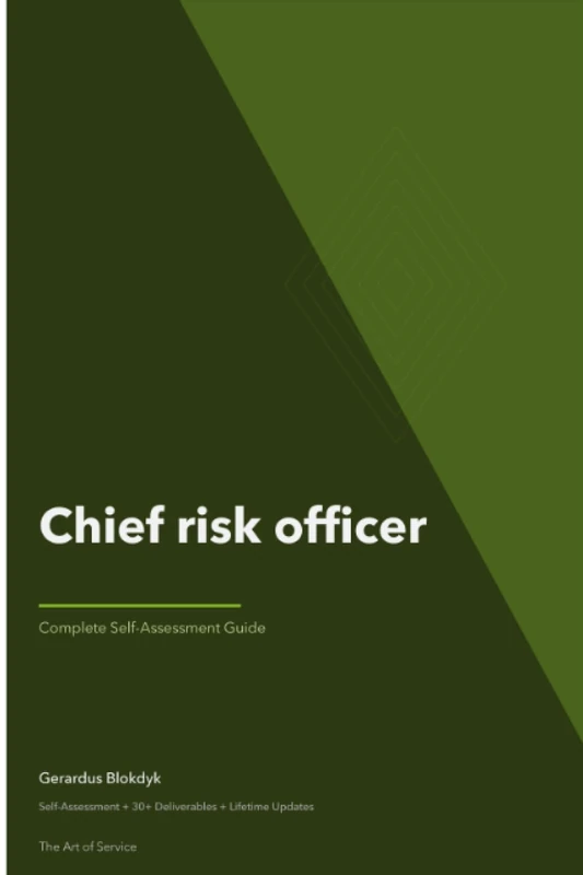 Chief risk officer Third Edition