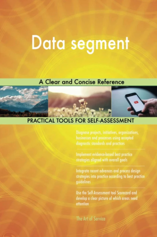 Data segment A Clear and Concise Reference