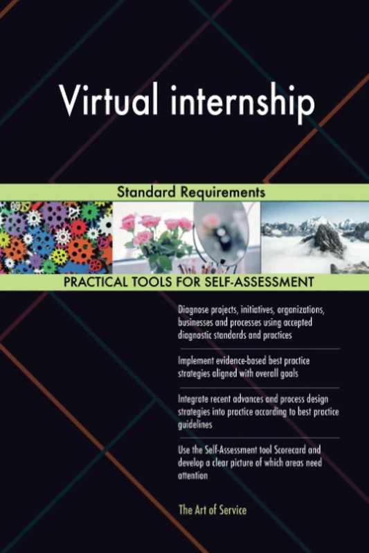 Virtual internship Standard Requirements