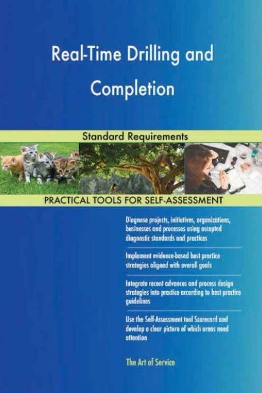 Real-Time Drilling and Completion Standard Requirements