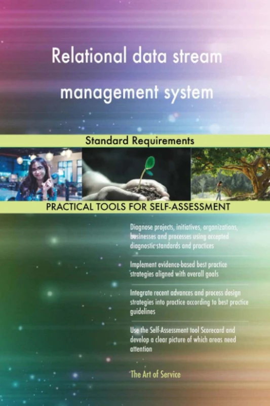 Relational data stream management system Standard Requirements