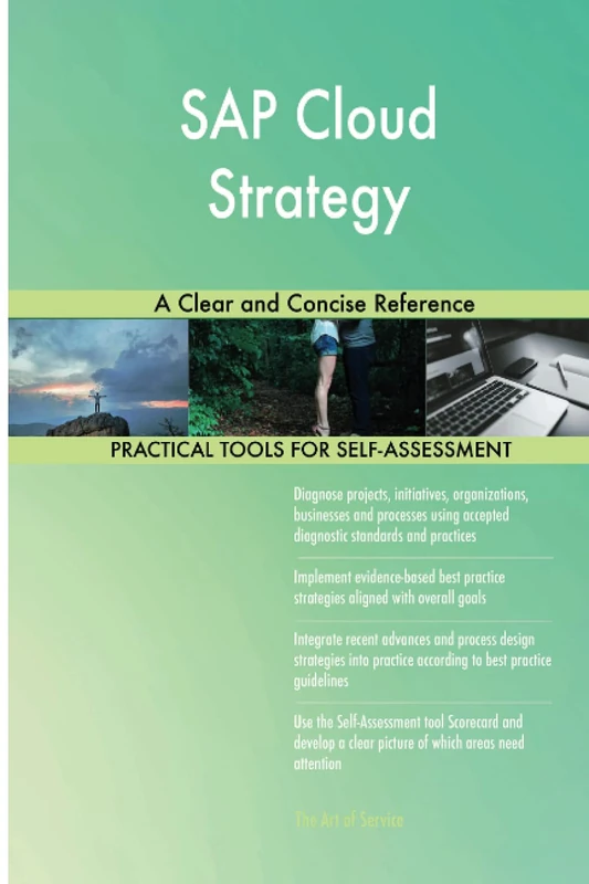 SAP Cloud Strategy A Clear and Concise Reference
