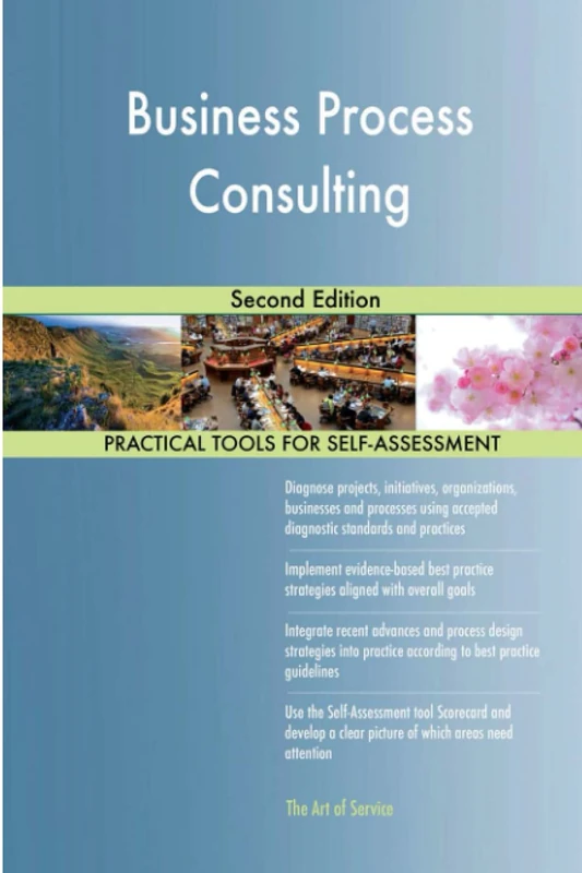 Business Process Consulting Second Edition