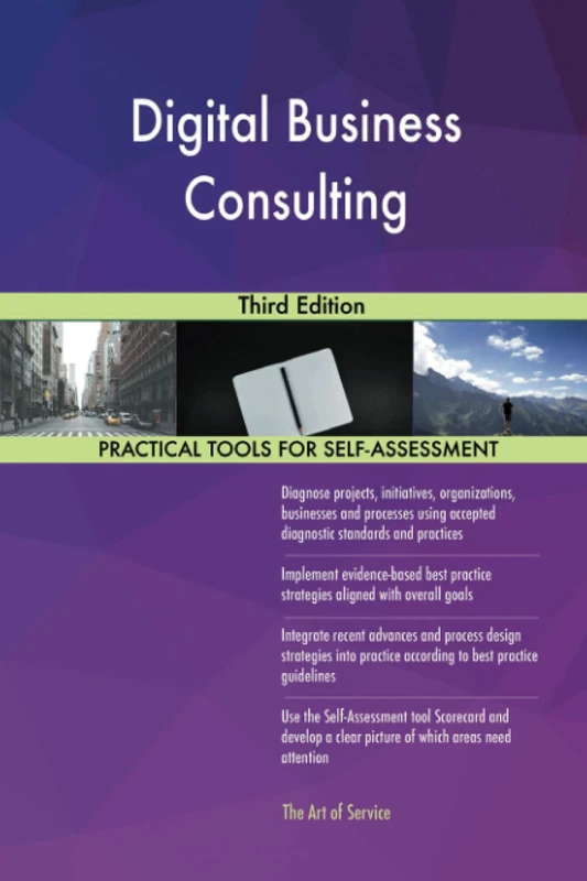Digital Business Consulting Third Edition