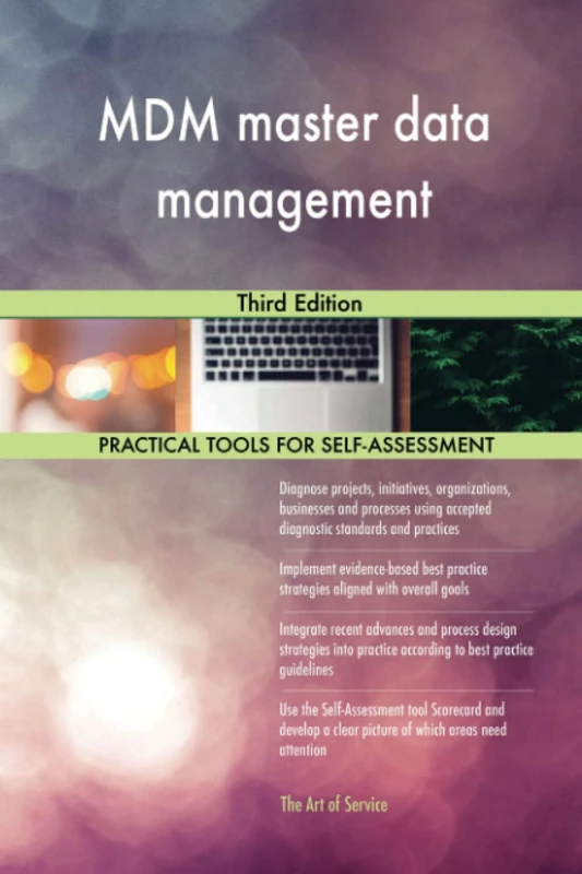 MDM master data management Third Edition