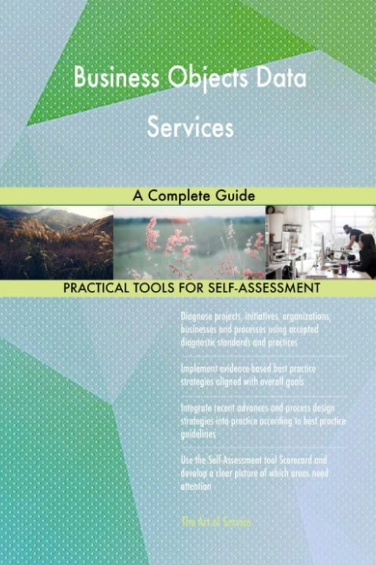 Business Objects Data Services A Complete Guide