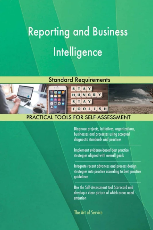 Reporting and Business Intelligence Standard Requirements