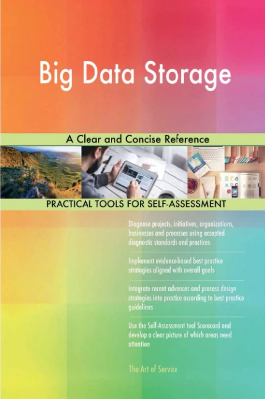 Big Data Storage A Clear and Concise Reference