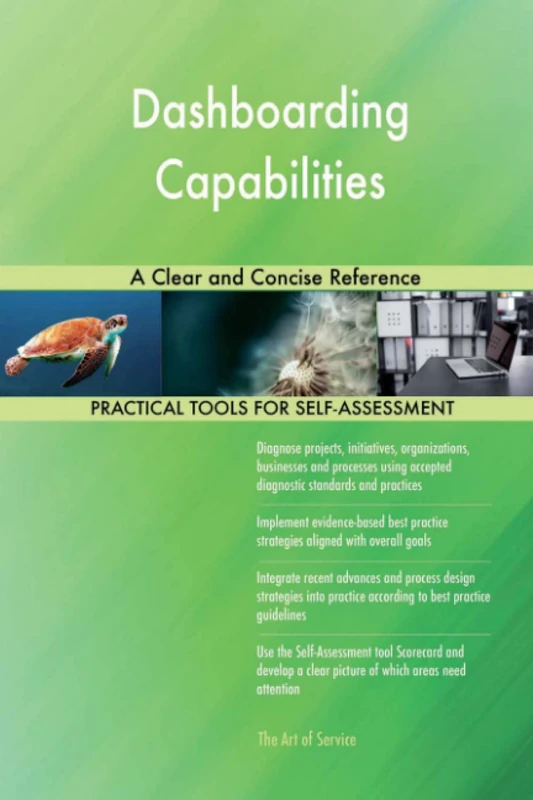Dashboarding Capabilities A Clear and Concise Reference