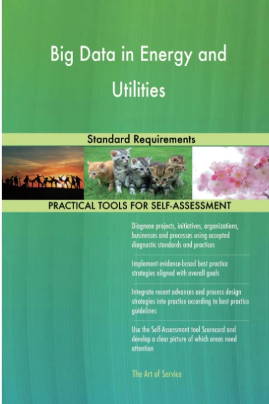 Big Data in Energy and Utilities Standard Requirements