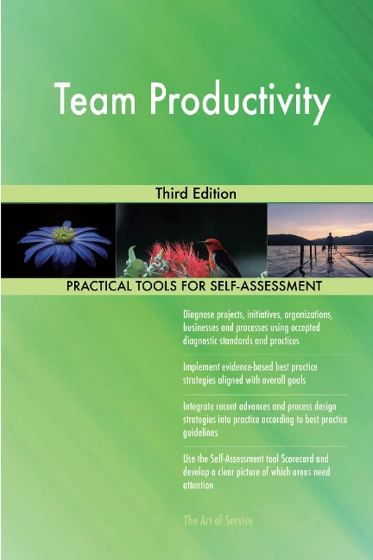 Team Productivity Third Edition