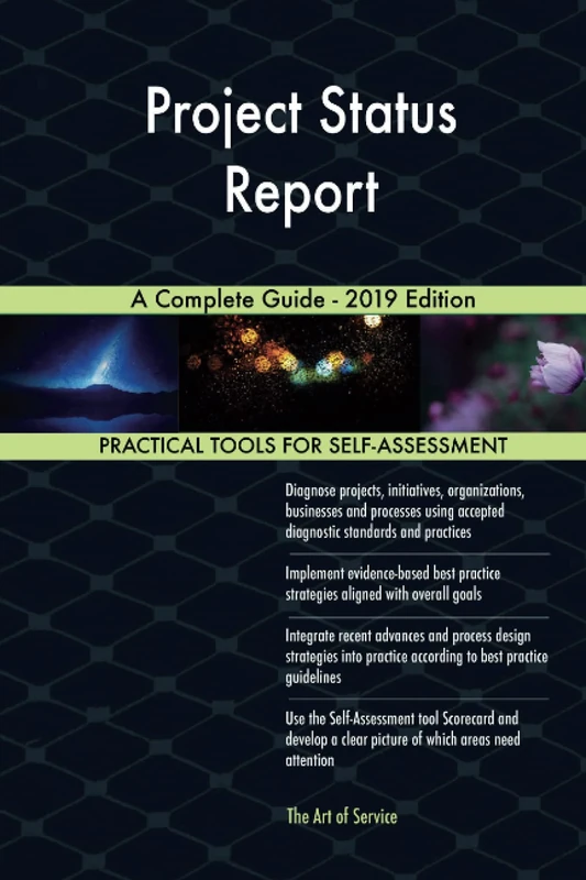 Project Status Report A Complete Guide - 2019 Edition
