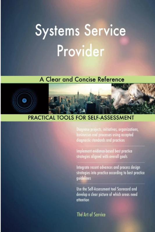 Systems Service Provider A Clear and Concise Reference