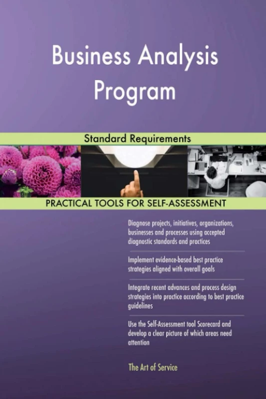 Business Analysis Program Standard Requirements