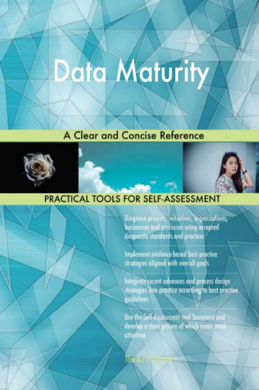 Data Maturity A Clear and Concise Reference