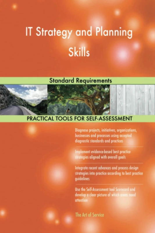 IT Strategy and Planning Skills Standard Requirements