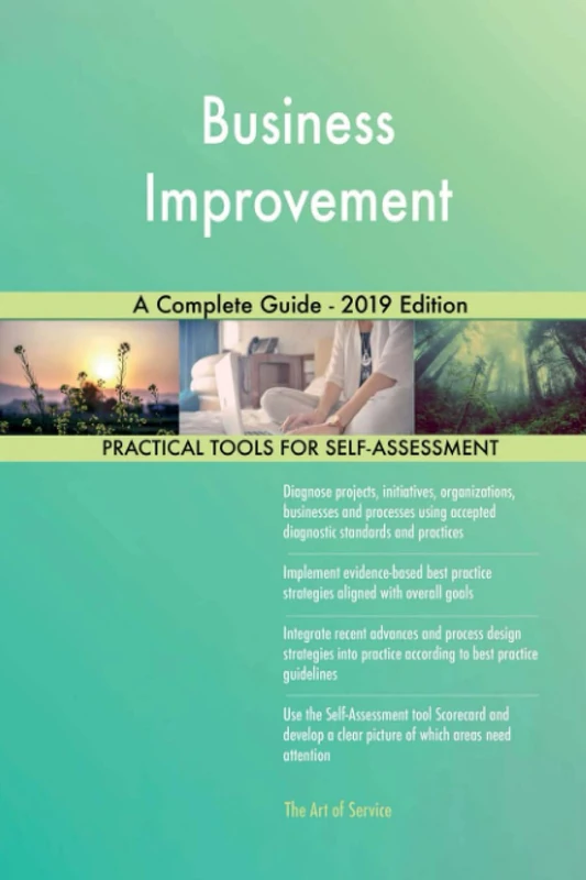 Business Improvement A Complete Guide - 2019 Edition