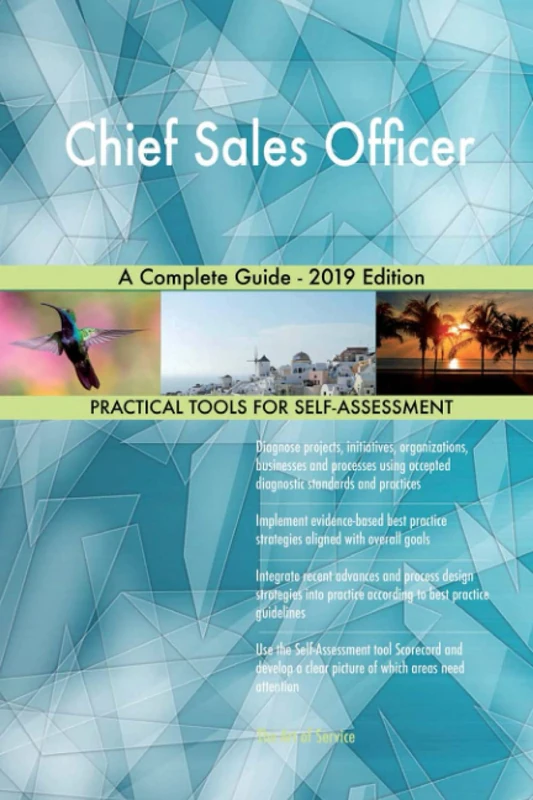 Chief Sales Officer A Complete Guide - 2019 Edition