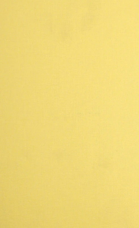 Letters and Journals of James Fenimore Cooper: v. 5: 1845-1849: Volume 5