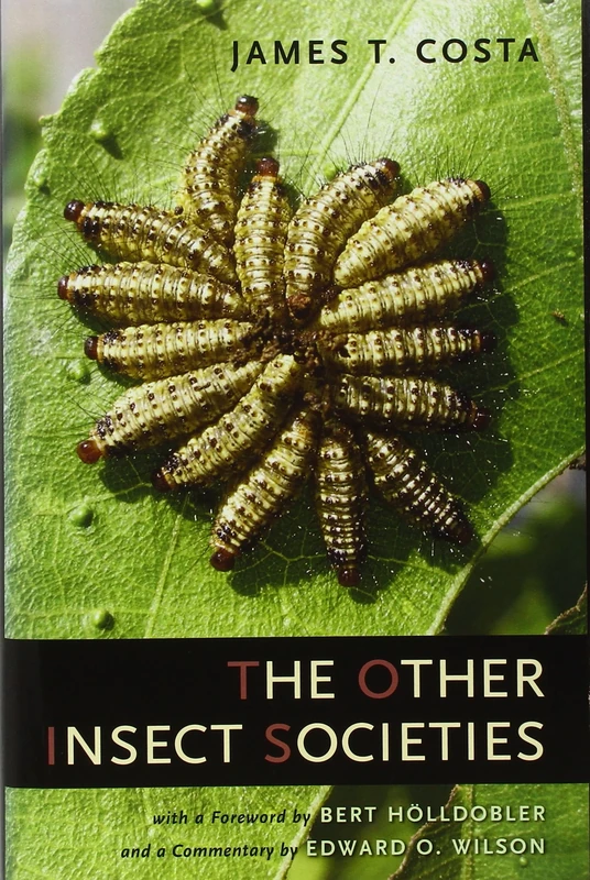 The Other Insect Societies