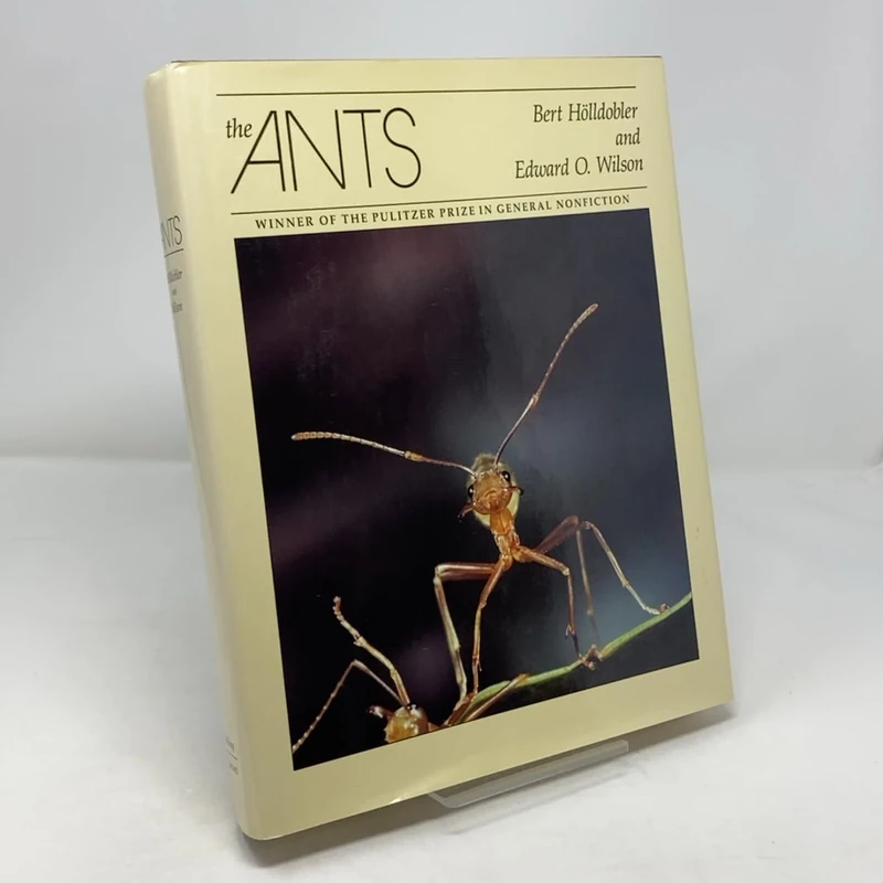 The Ants