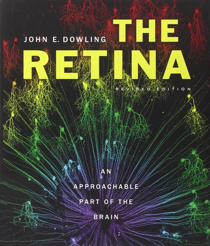 The Retina: An Approachable Part of the Brain: An Approachable Part of the Brain, Revised Edition