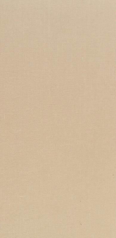 A History of American Magazines, Volume III: 1865–1885