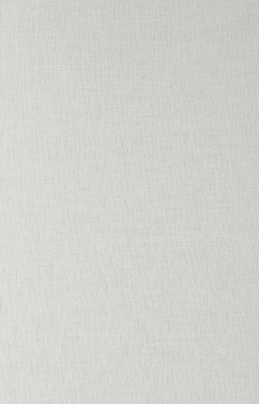 Belknap Press - Emerson Journals and Miscellaneous Notebooks v. 4