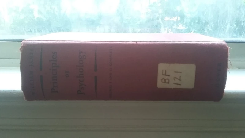 Principles of Psychology: v. 1 & 2 in 1v. (Works of William James): Volume II
