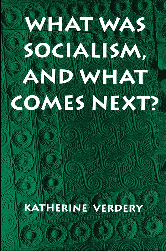 What Was Socialism, and What Comes Next? (Princeton Studies in Culture/Power/History) - Image 1