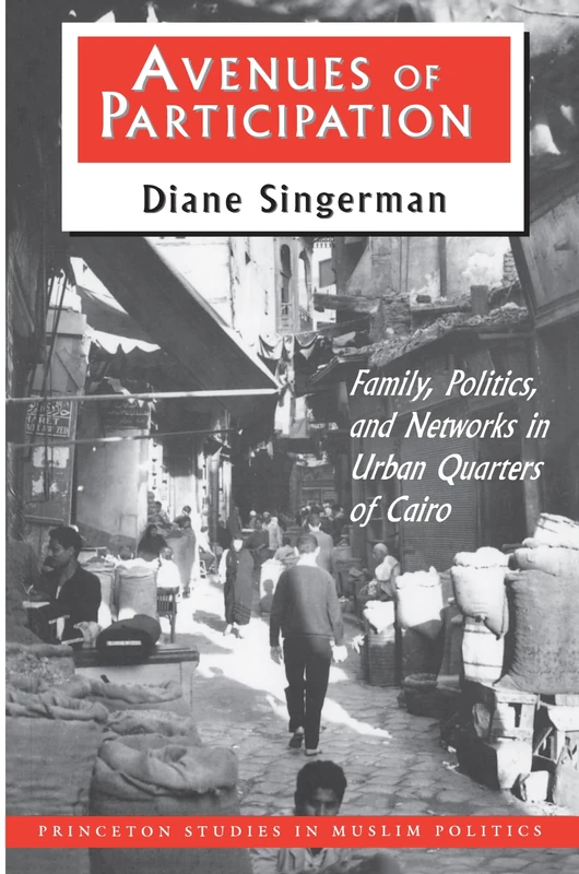 Avenues of Participation : Family, Politics, and Networks in Urban Quarters of Cairo: 5 (Princeton Studies in Muslim Politics)