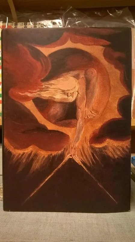 The Illuminated Books of William Blake V 4 – The Continental Prophecies