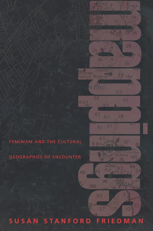 Mappings: Feminism and the Cultural Geographies of Encounter