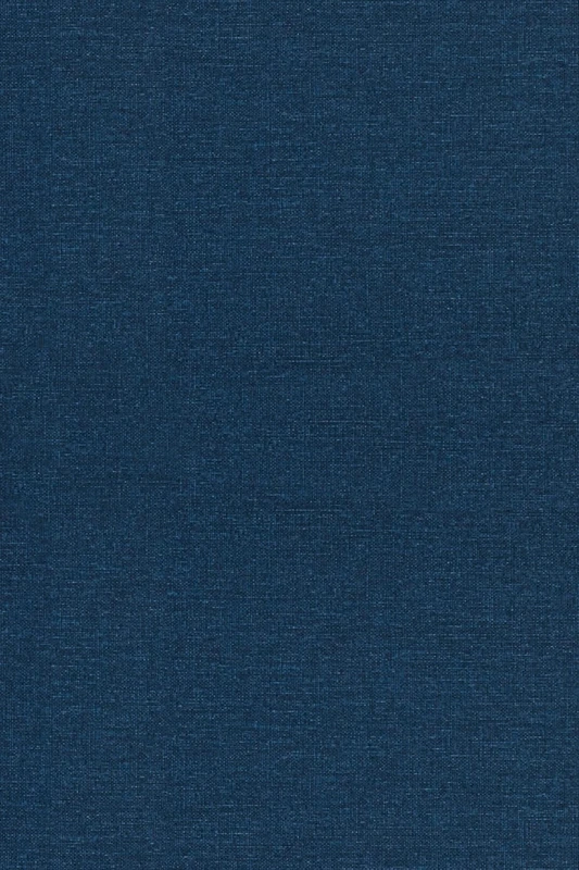 Singular Integrals and Differentiability Properties of Functions (PMS–30), Volume 30 (Princeton Mathematical Series, 30)