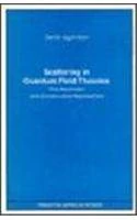 Scattering in Quantum Field Theories – the Axiomatic & Constructive Approaches (Princeton Legacy Library)