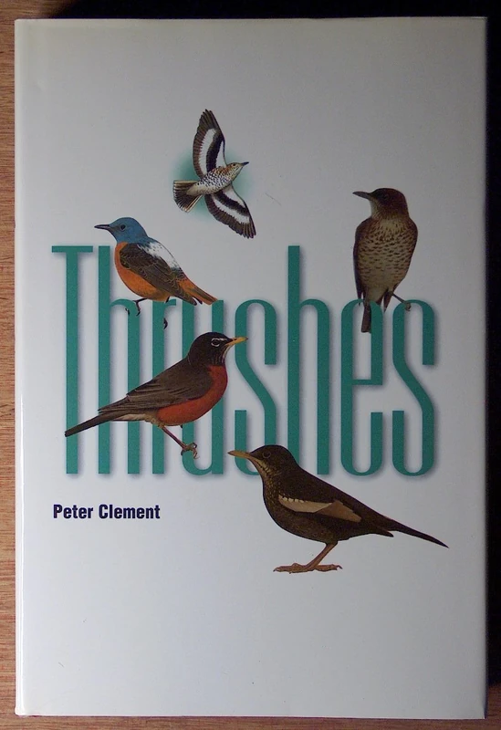 Thrushes - Image 1