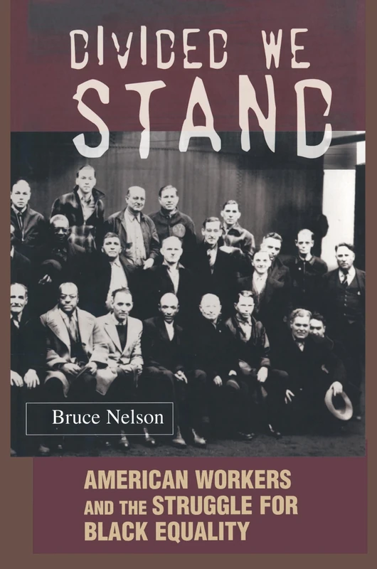 Divided We Stand: American Workers and the Struggle for Black Equality: 12 (Politics and Society in Modern America) - Image 1