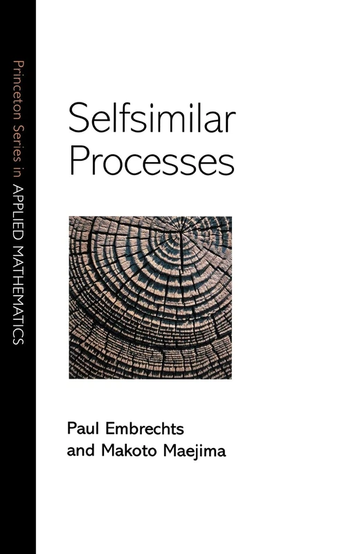 Selfsimilar Processes: 7 (Princeton Series in Applied Mathematics)