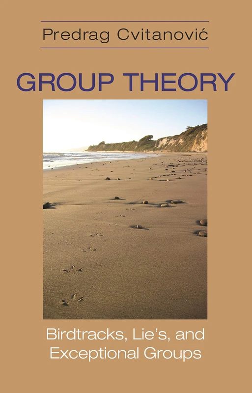 Group Theory: Birdtracks, Lie's, and Exceptional Groups - Image 1