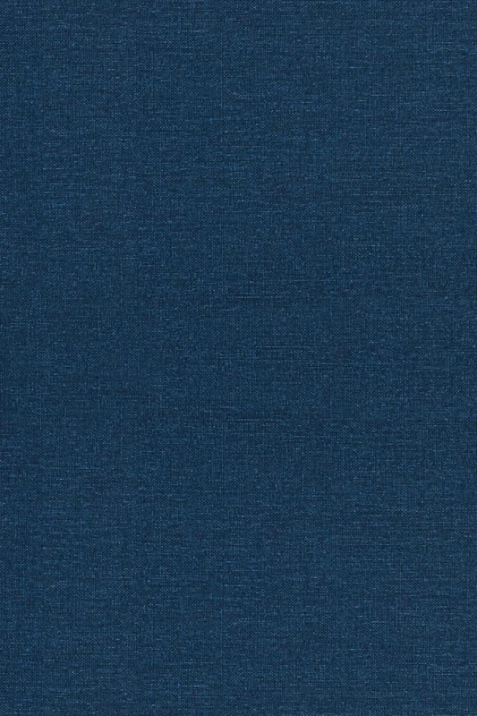 Analysis of Heat Equations on Domains. (LMS–31) (London Mathematical Society Monographs)