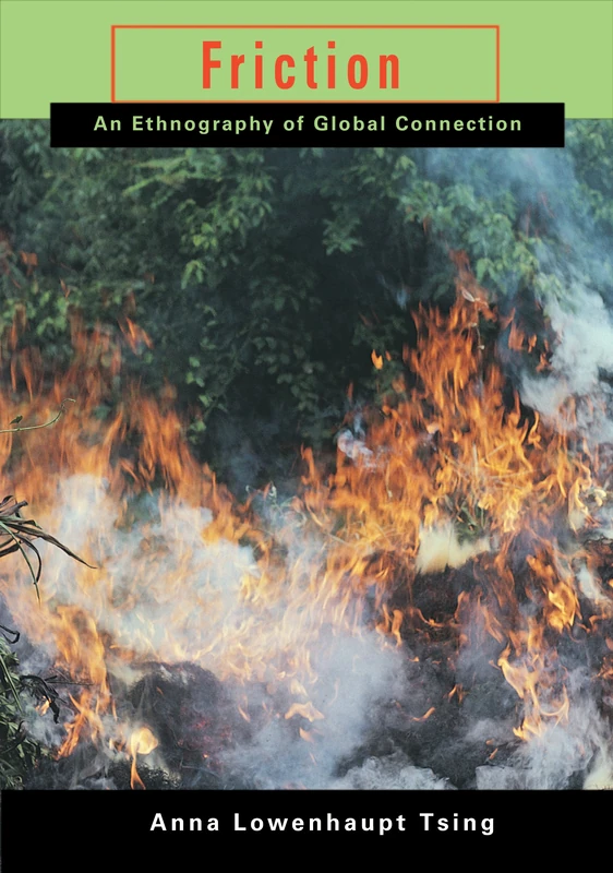 Friction – An Ethnography of Global Connection