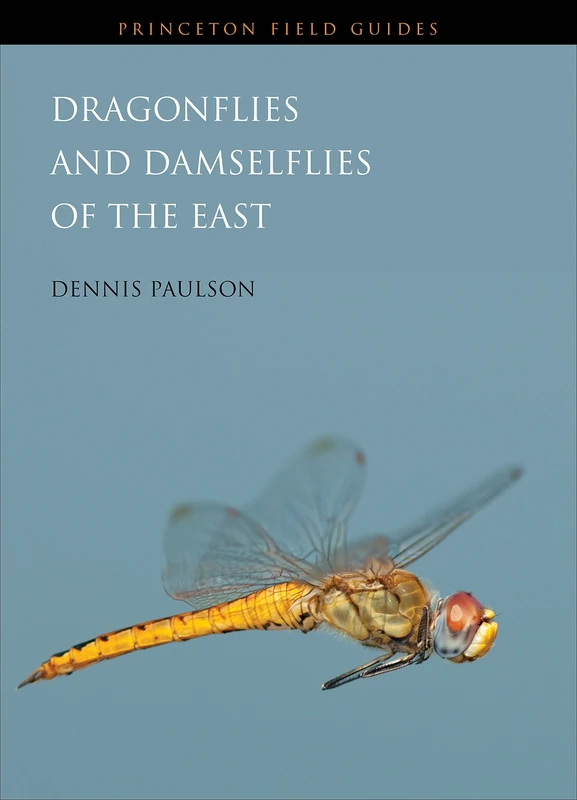 Dragonflies and Damselflies of the East (Princeton Field Guides)