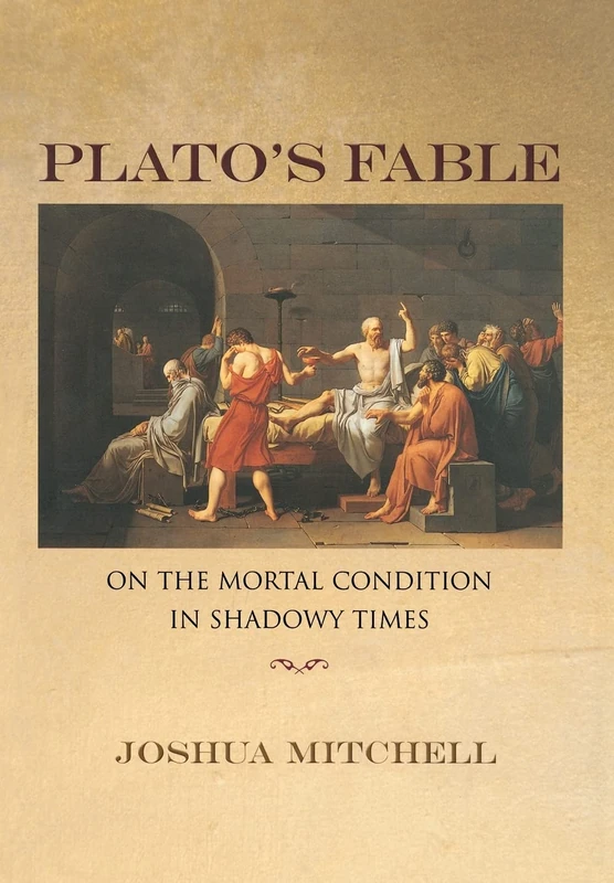 Plato`s Fable – On the Mortal Condition in Shadowy Times: 40 (New Forum Books)